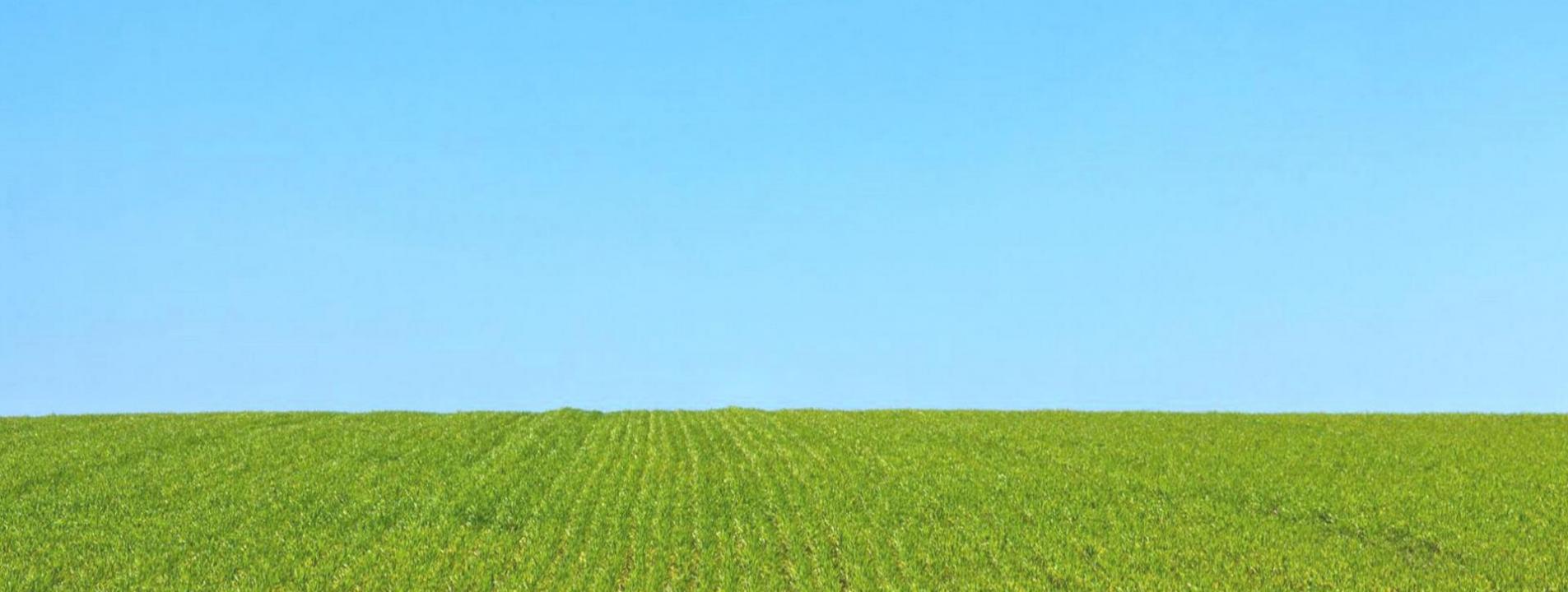 Arieggiatura: a cosa serve e quando farla: Immagine