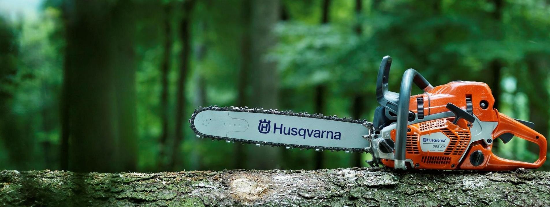 Manutenzione ordinaria motosega: Immagine