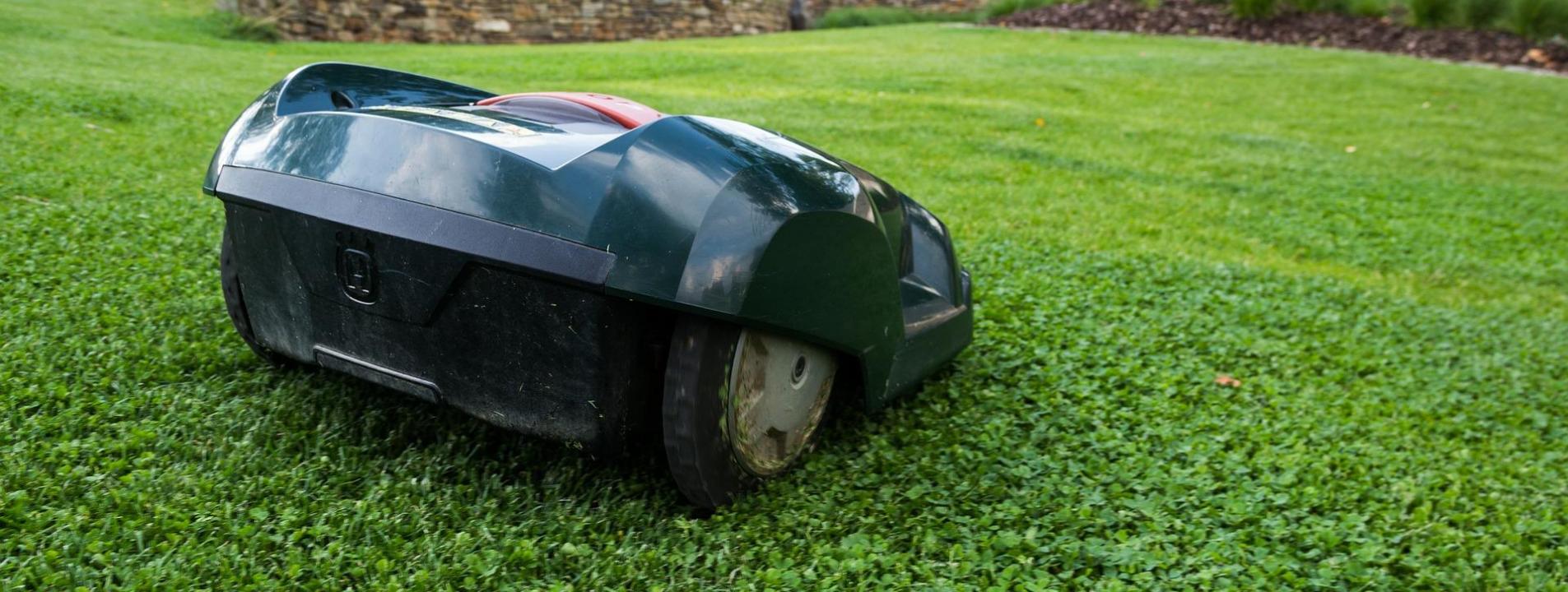 Robot rasaerba: come scegliere quello giusto e perchè: Immagine